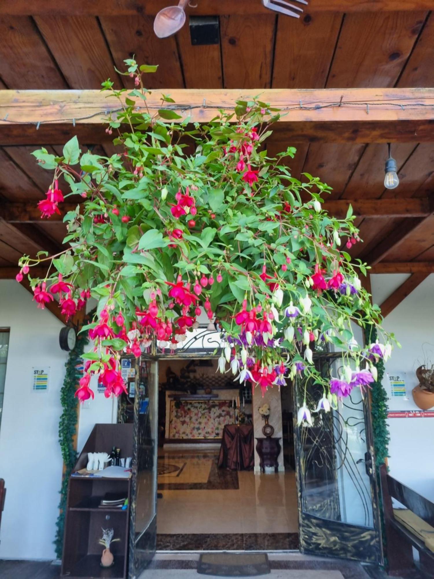Casa Boiereasca Hotel Яш Екстериор снимка